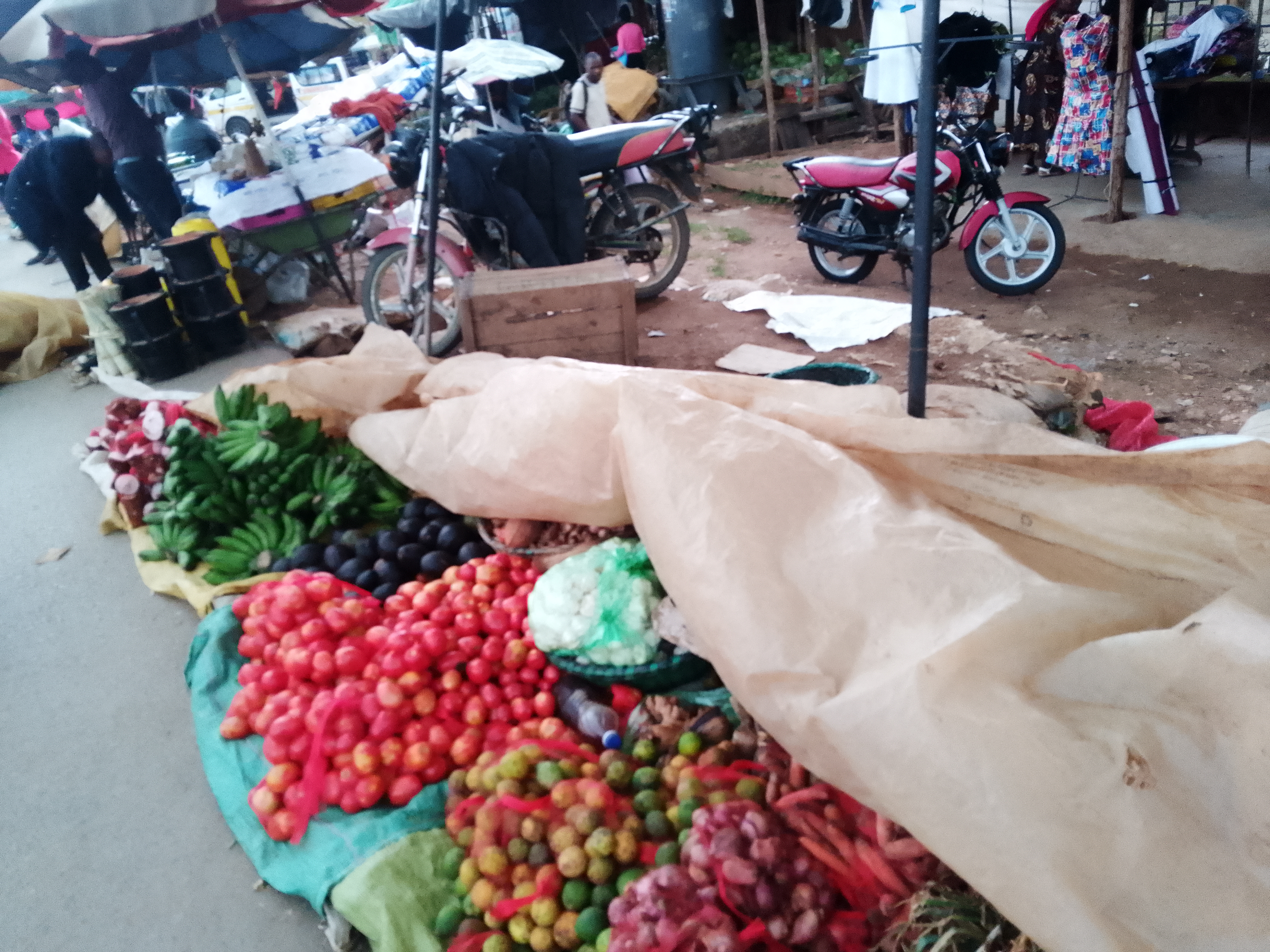Evans Wesanza Omenya