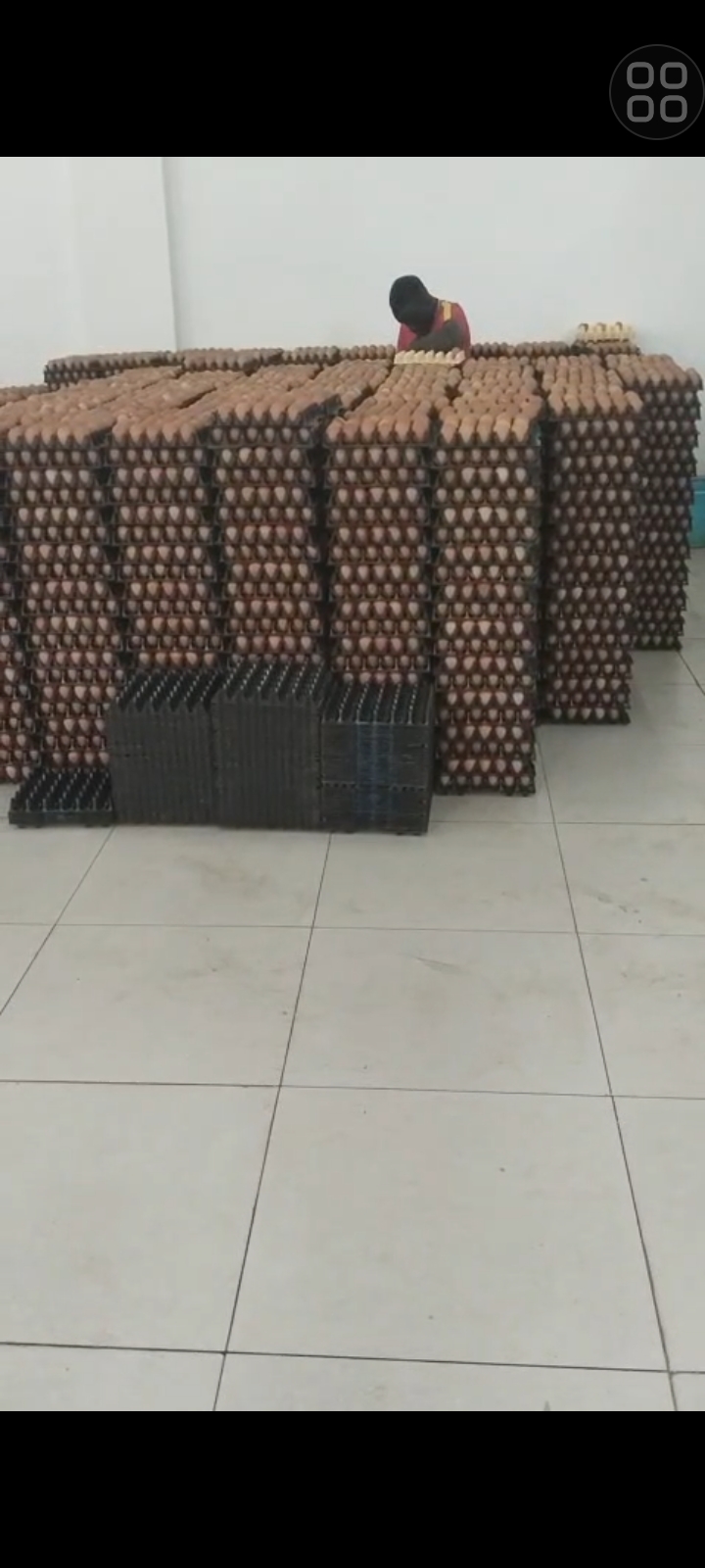 The egg lady